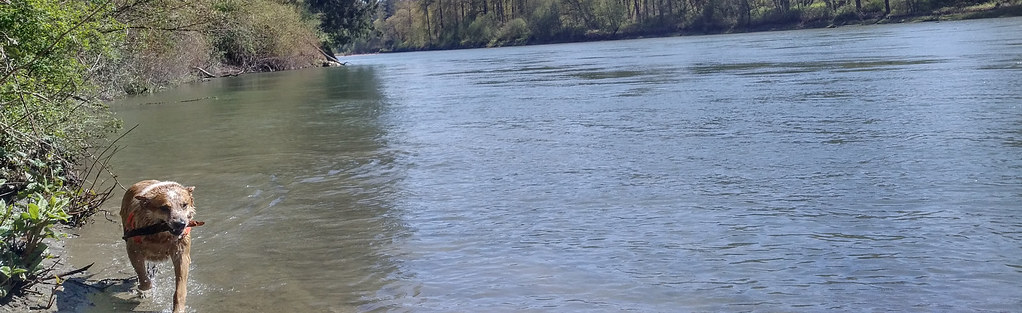 Bertha and the Snohomish River.